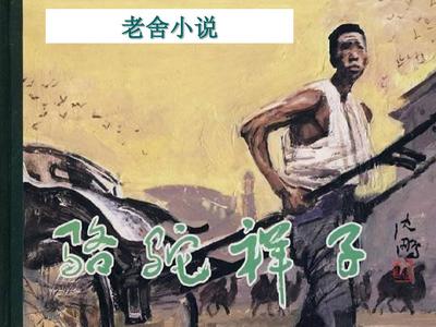 草莓丝瓜黄瓜向日葵